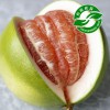 红心柚子