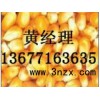 求购玉米高梁DDGS大米次粉油糠等